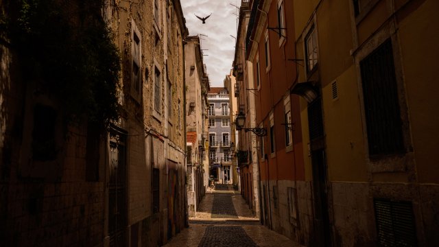 Снимка: Bloomberg