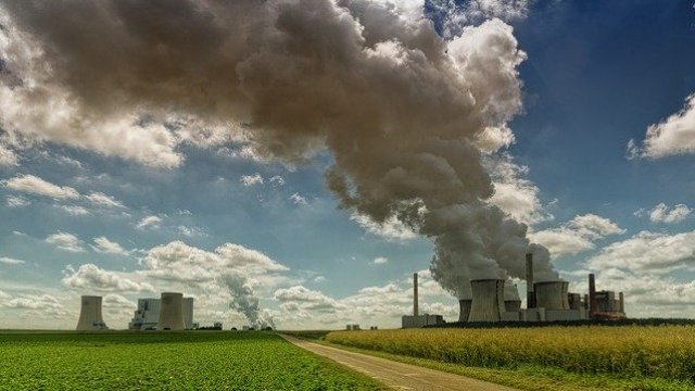 <p>
	<em>Снимка: Pixabay</em></p>
