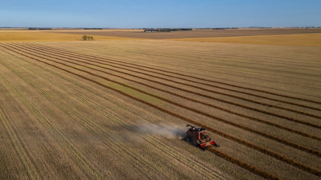 Снимка: Bloomberg L.P.