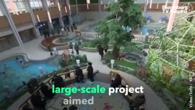 Нов зимен курорт в Северна Корея посреща гости
