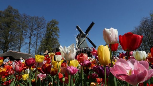 <p>
	<em>Снимка: Ройтерс</em></p>
