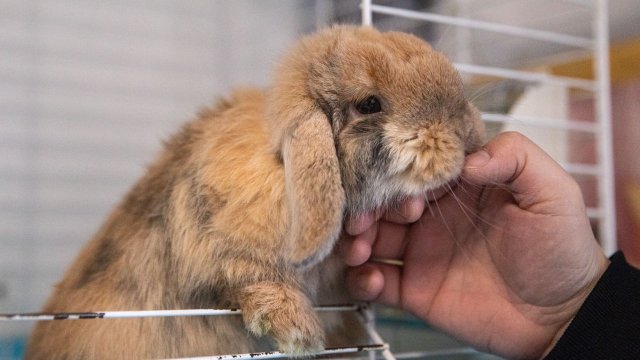 Снимка: Bloomberg L.P.