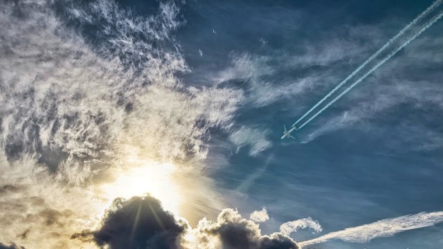 Снимка: Pixabay