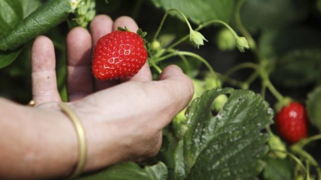 <p>
	<em>Снимка: Архив Ройтерс</em></p>
