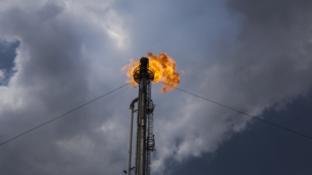 Снимка: Bloomberg L.P.