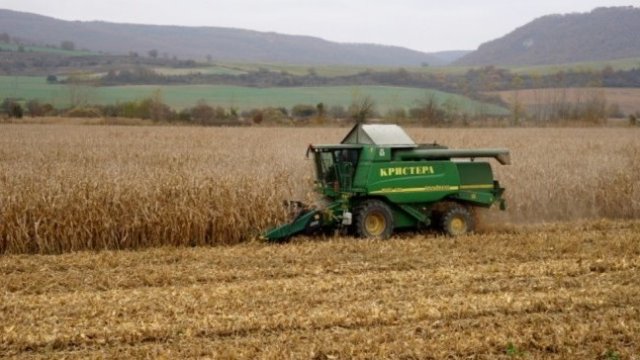 <p>
	<em>Снимка: agriabg.com</em></p>
