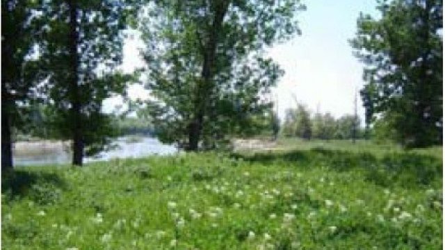 <p>
	Снимка на Парк отдих и култура в гр. Пловдив, публикувана от Актив Пропъртис АДСИЦ</p>
