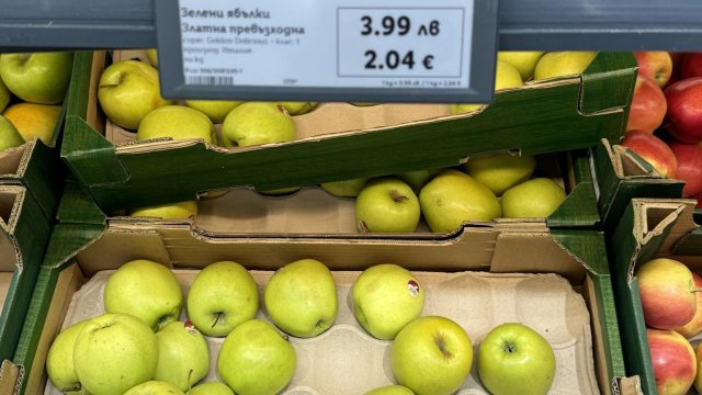 Снимка: БГНЕС