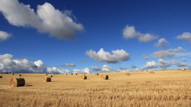 <p>
	<em>Снимка: Pixabay</em></p>
