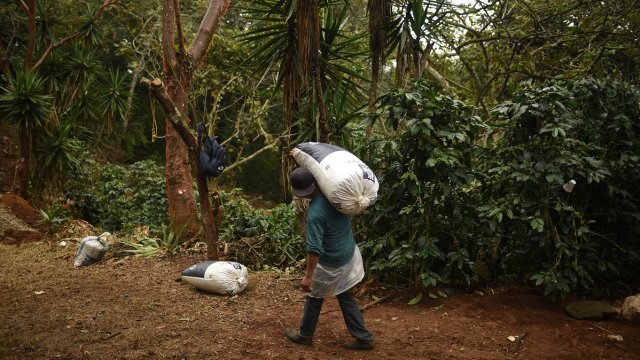 Снимка: Hector Quintanar/Bloomberg