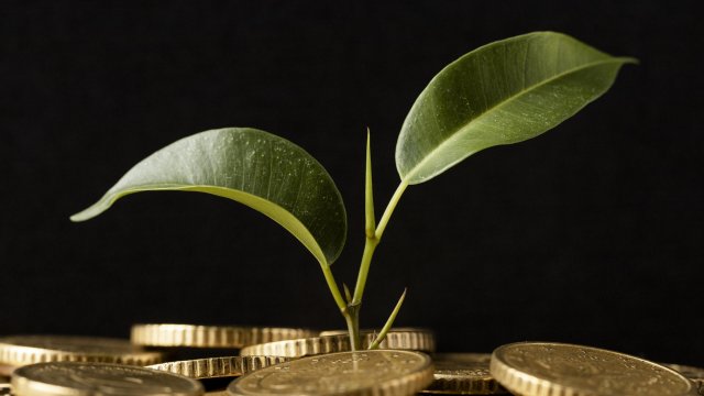 Снимка: freepik.com