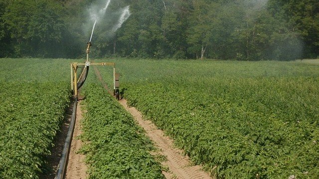 <p>
	<em>Снимка: Pixabay</em></p>
