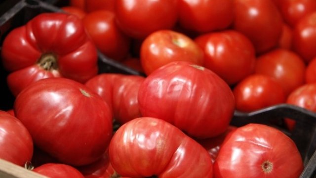 <p>
	<em>Снимка: Олег Попов, Investor Media Group</em></p>
