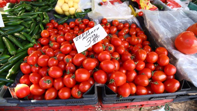 Снимка: Надежда Пеева, БГНЕС