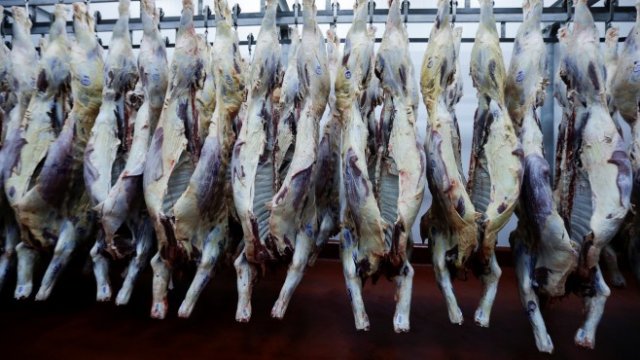 <p>
	Снимка: Ройтерс</p>
