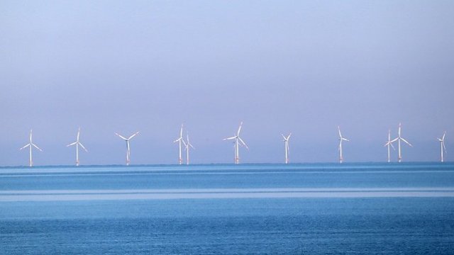 <p>
	<em>Снимка: Pixabay</em></p>
