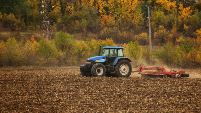 Снимка: Благой Кирилов, БГНЕС
