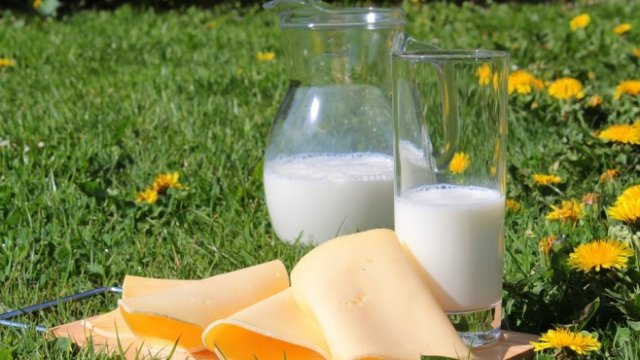 <p>
	<em>Снимка: Pixabay</em></p>
