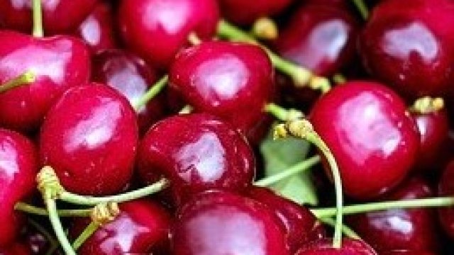 <p>
	<em>Снимка: Pixabay.com</em></p>
