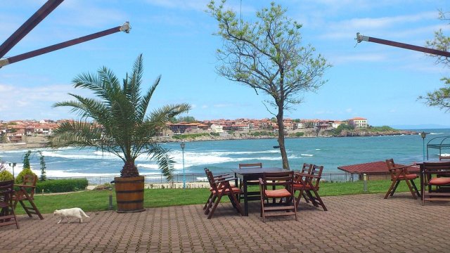 Снимка: Pixabay