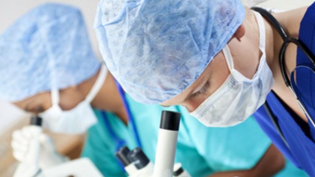 Снимка: Pixabay