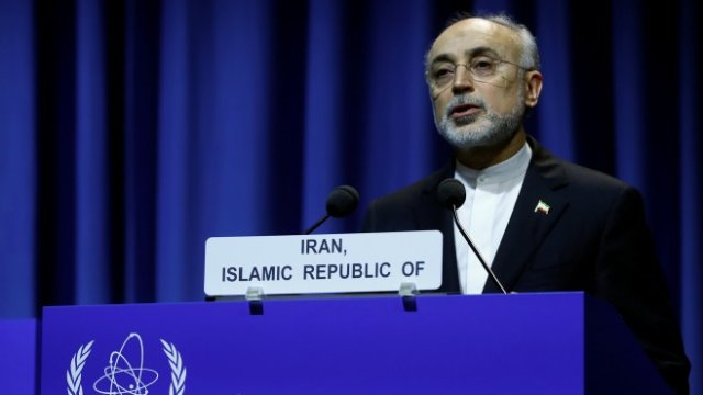 <p>
	Али Акбар Салехи, директор на Иранската ядрена енергийна организация. <em>Снимка: Ройтерс</em></p>
