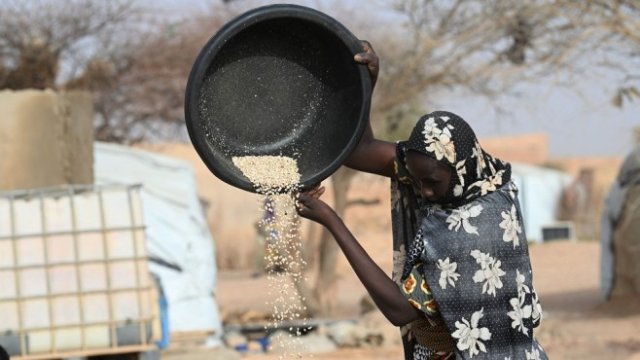 <p>
	<em>Недостигът на пшеница заплашва с недостиг на храни Африка. Снимка: Bloomberg LP</em></p>
