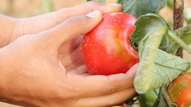 <p>
	<em>Снимка: Pixabay</em></p>
