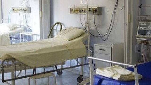 <p>
	<em>Снимка: Pixabay.com</em></p>
