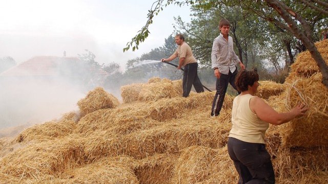 <p style="text-align: center;">
	Голяма част от дребните земеделски производители се нуждаят от&nbsp;консултации по управлението на стопанствата си&nbsp;</p>
<p style="text-align: center;">
	Снимка: БТА</p>
