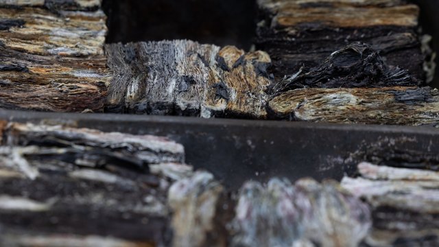 Снимка: Bloomberg L.P.