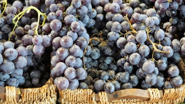 <p>
	<em>Снимка: Pixabay</em></p>
