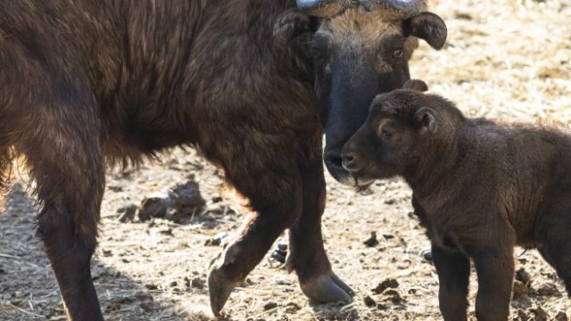 Световноизвестен национален парк не успява да привлече много туристи
