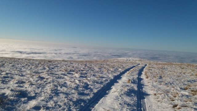 <p>
	<em>Снимка: Investor.bg</em></p>
