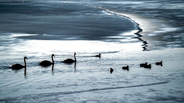 <p>
	<em>Снимка: EPA/БГНЕС</em></p>
