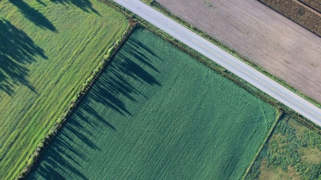 <p>
	<em>Снимка: Pixabay</em></p>
