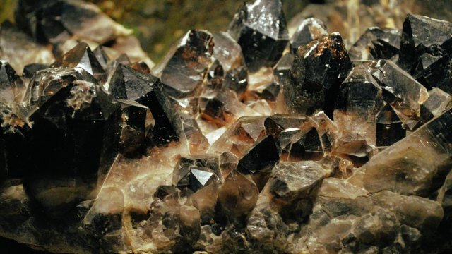 Снимка: Pixabay