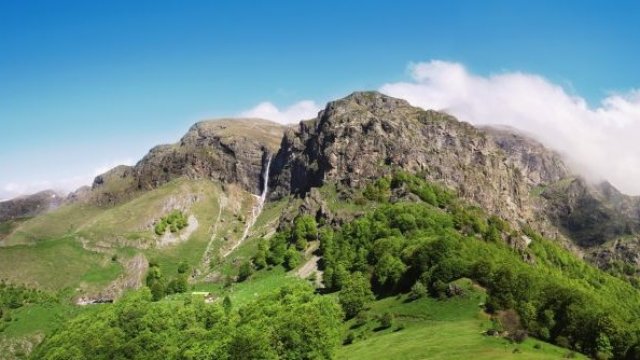 <p>
	<em>Снимка: Национален парк &quot;Централен Балкан&quot;</em></p>
