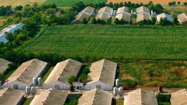 <p>
	<em>Снимка: Градус АД</em></p>
