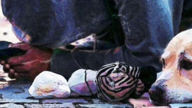 <p>
	<em>Снимка: Pixabay.com</em></p>
