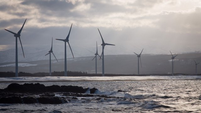 Снимка: Bloomberg LP