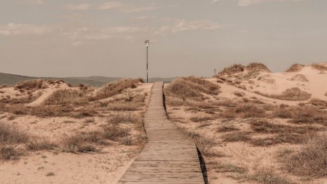 <p>
	<em>Източник: Cook&rsquo;s Club</em></p>
