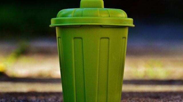 <p>
	<em>Снимка: Pixabay</em></p>
