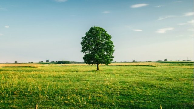 <p>
	<em>Снимка: Pixabay</em></p>
