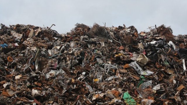 <p>
	<em>Снимка: Pixabay</em></p>
