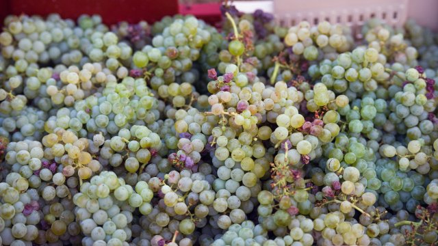 Снимка: Bloomberg L.P.