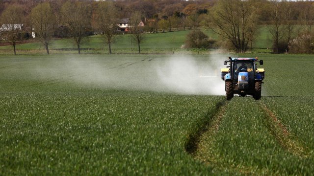 Снимка: Bloomberg L.P.