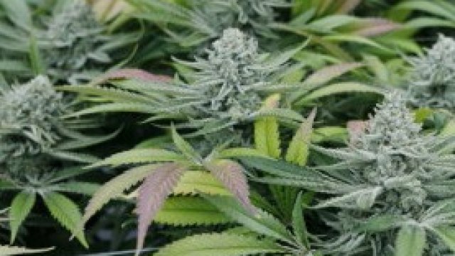 <p>
	<em>Снимка: Bloomberg LP</em></p>
