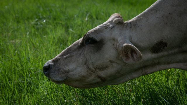 Снимка: Jonne Roriz/Bloomberg