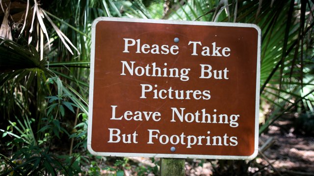 Снимка: Unsplash.com